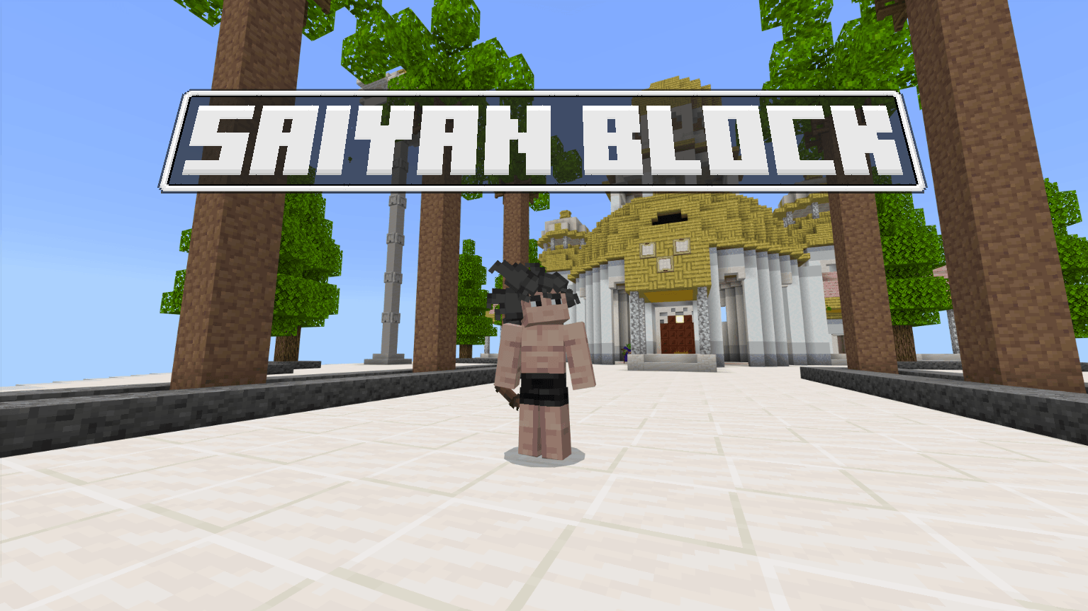 Saiyan Block (Dragon Ball) — screenshot 1
