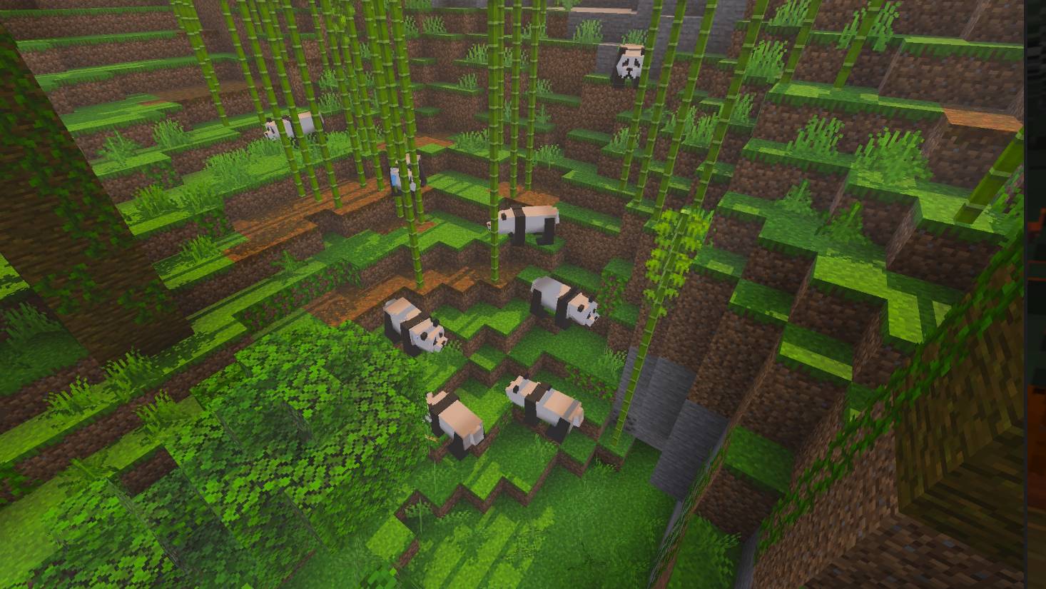 Giant panda remaster — screenshot 1