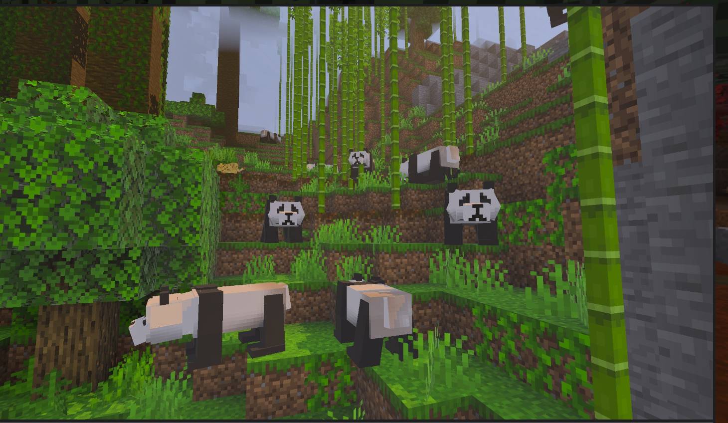 Giant panda remaster — screenshot 2
