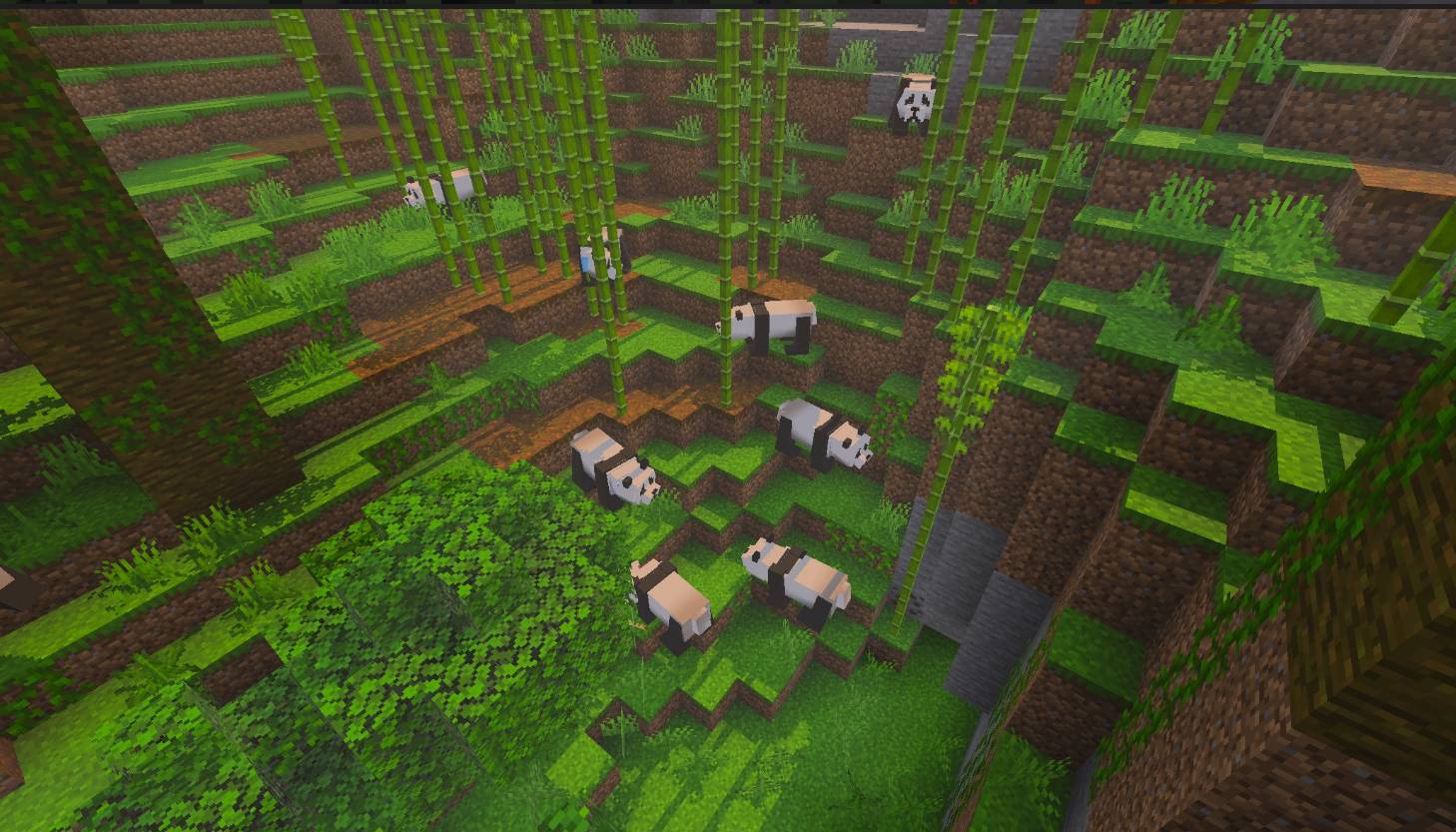 Giant panda remaster — screenshot 3