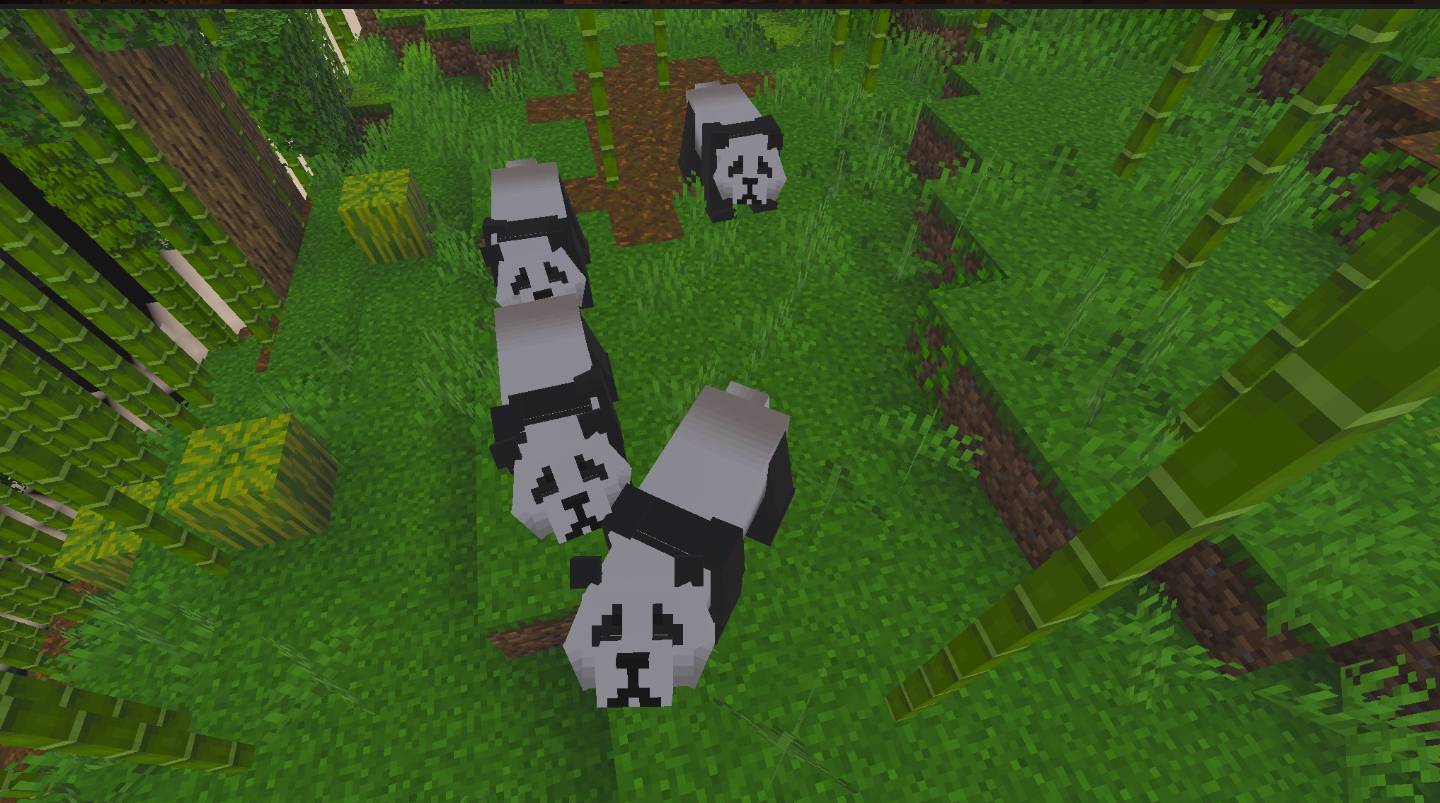 Giant panda remaster — screenshot 5