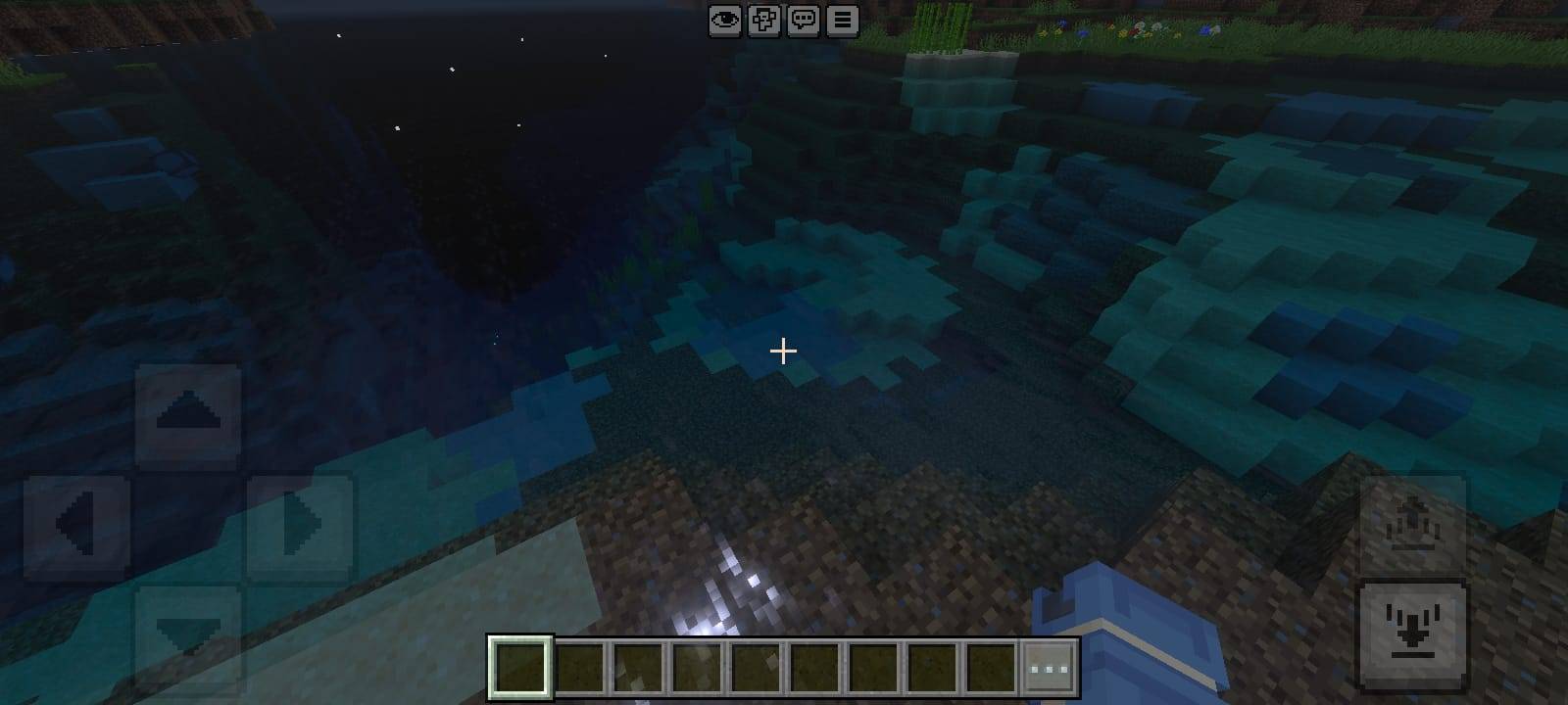 BRG Natural Radiance — screenshot 2