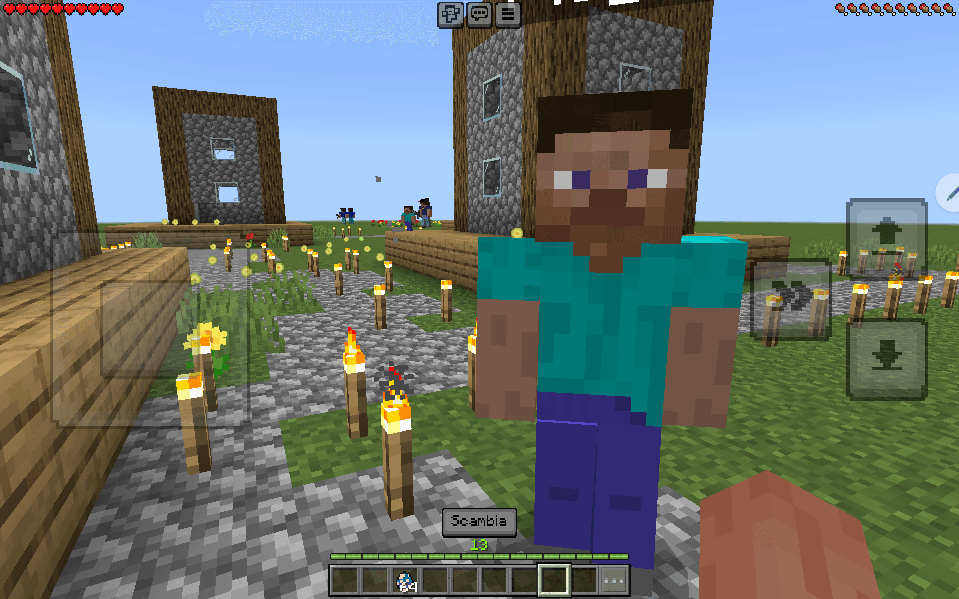 Civilation Player — screenshot 2