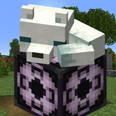 Spawn variants in superflatworld