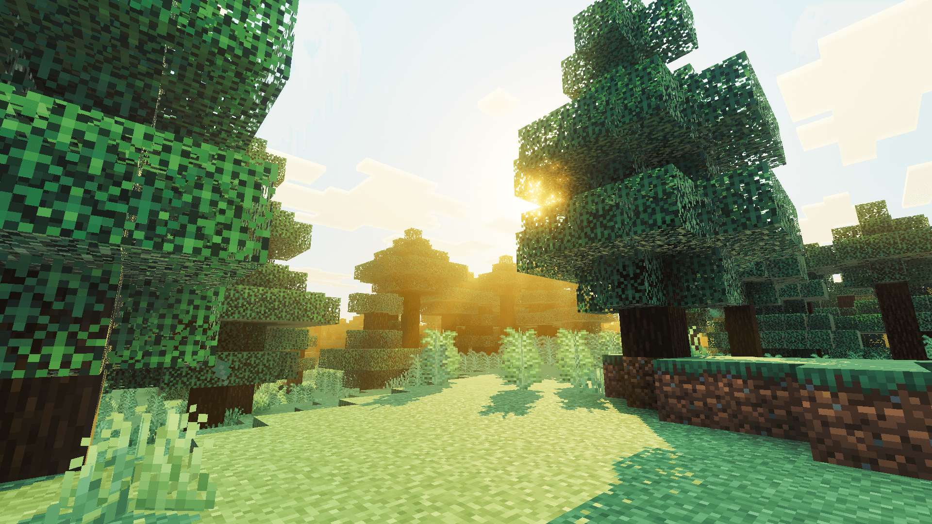 Cozy Toon — screenshot 8