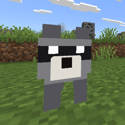 Raccoon companion (beta)