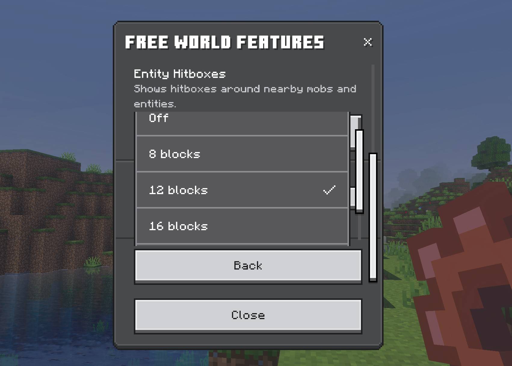 HUD Essentials Free: Compass, Clock, Light Level, Biome and Hitboxes — screenshot 5