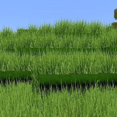 Realistic Grass