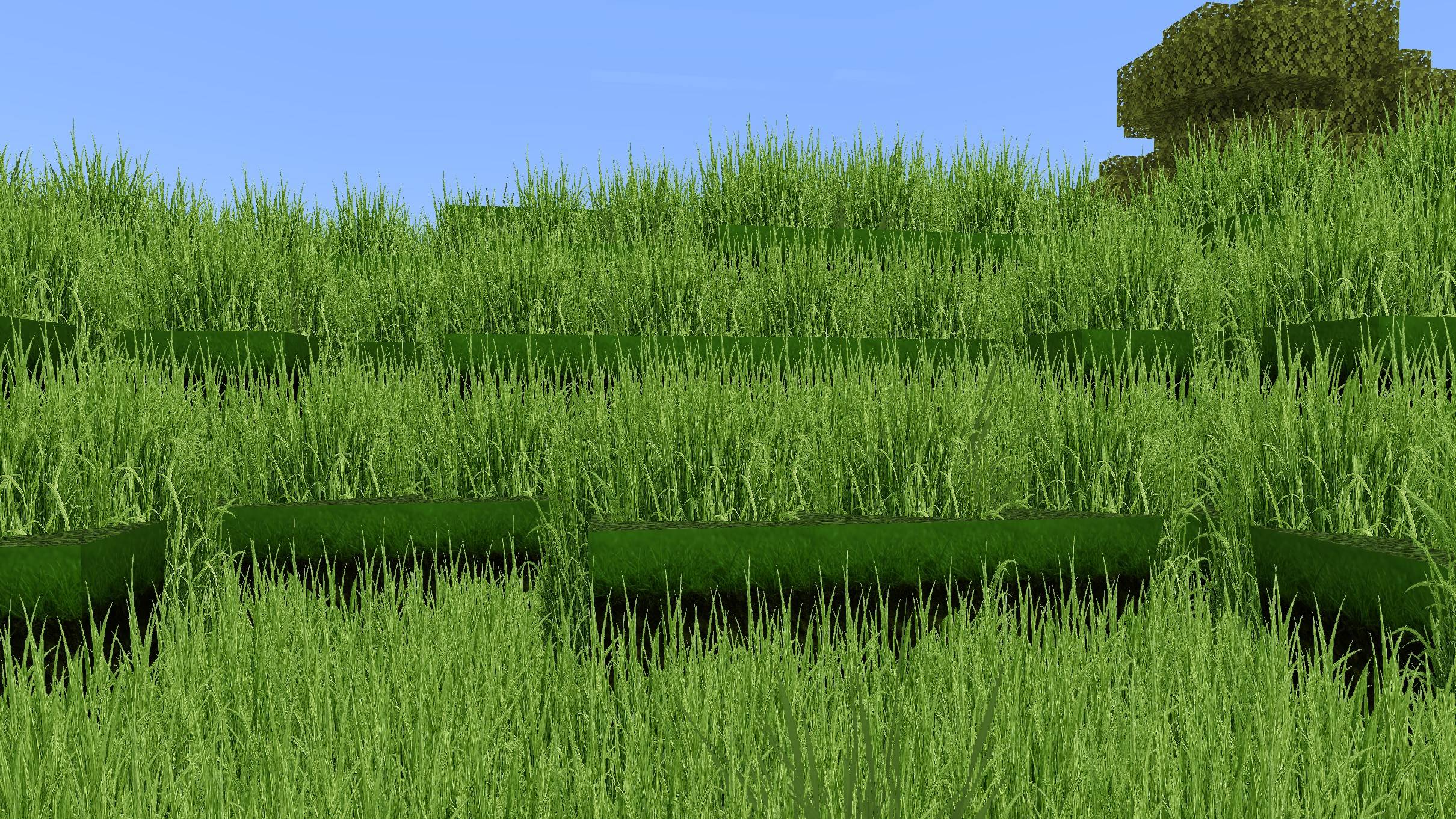 Realistic Grass — screenshot 1