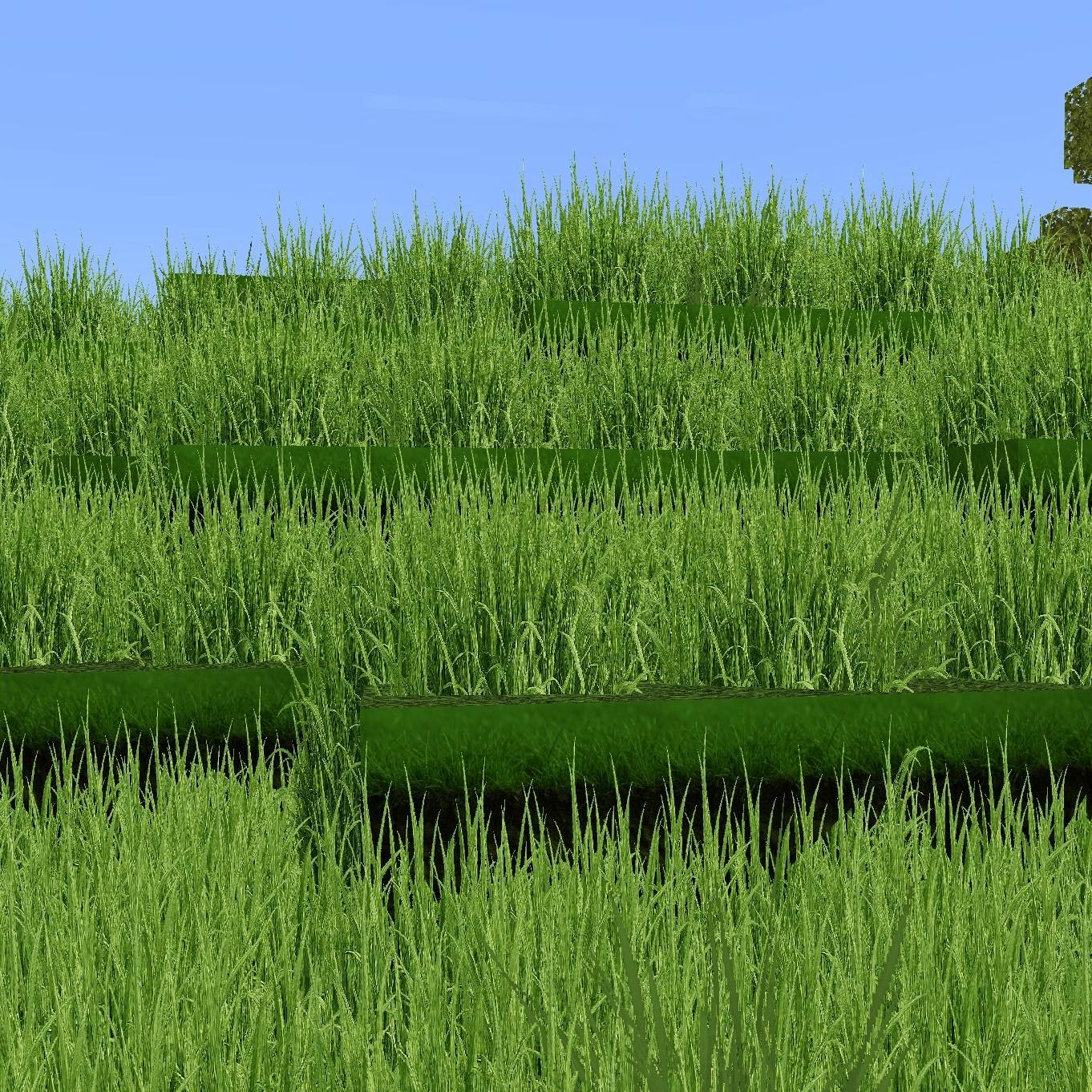 Realistic Grass — screenshot 2