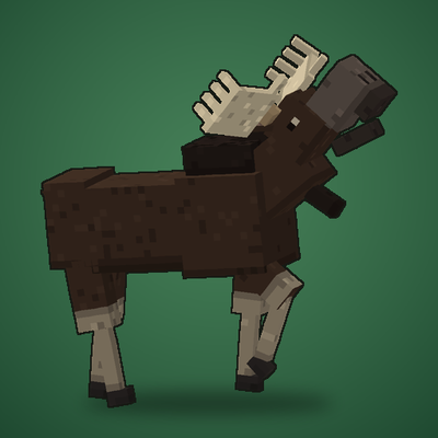 OLLA's Moose