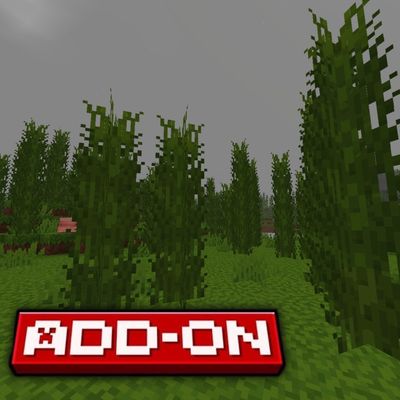 Tall Grass Addon — Minecraft Bedrock Addon Download | MCModsHub
