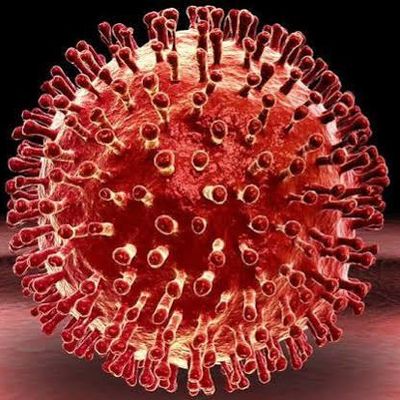 THE VIRUS