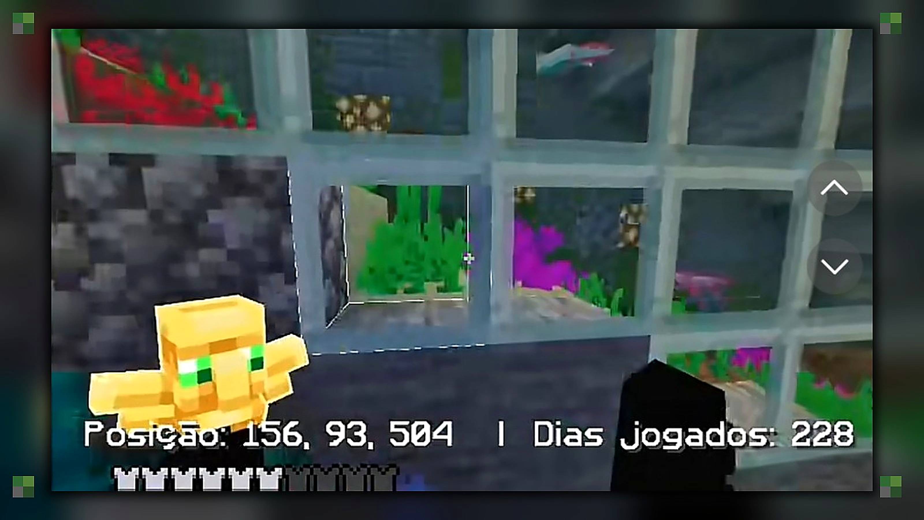 RARISOW PACK V3 — screenshot 5