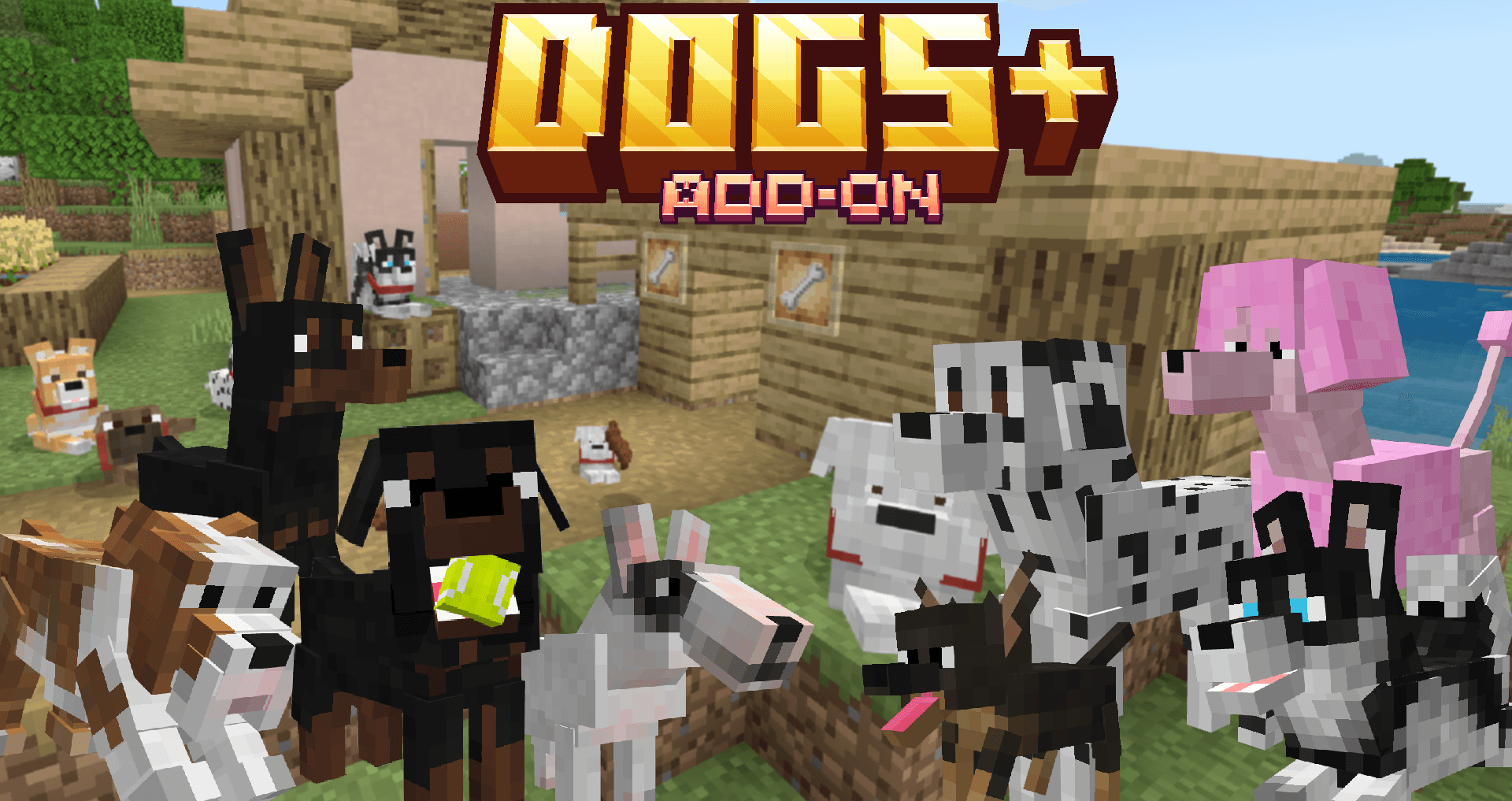 Dogs+ — screenshot 1