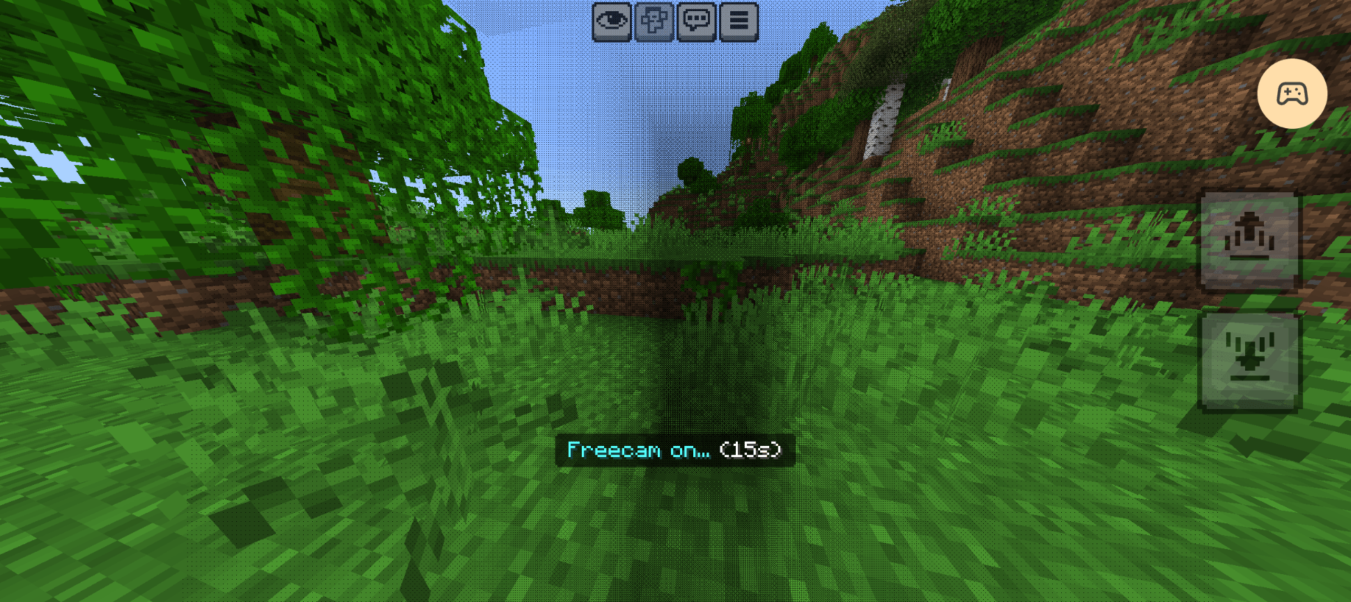 Lionkracher's Freecam — screenshot 2