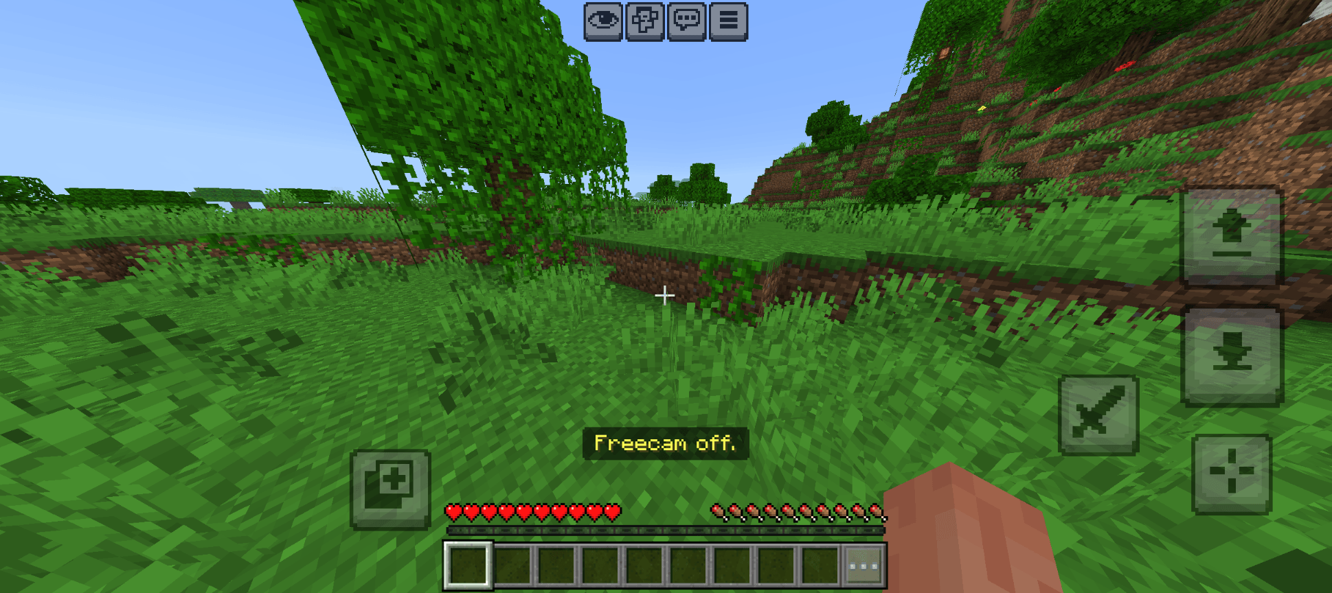 Lionkracher's Freecam — screenshot 3