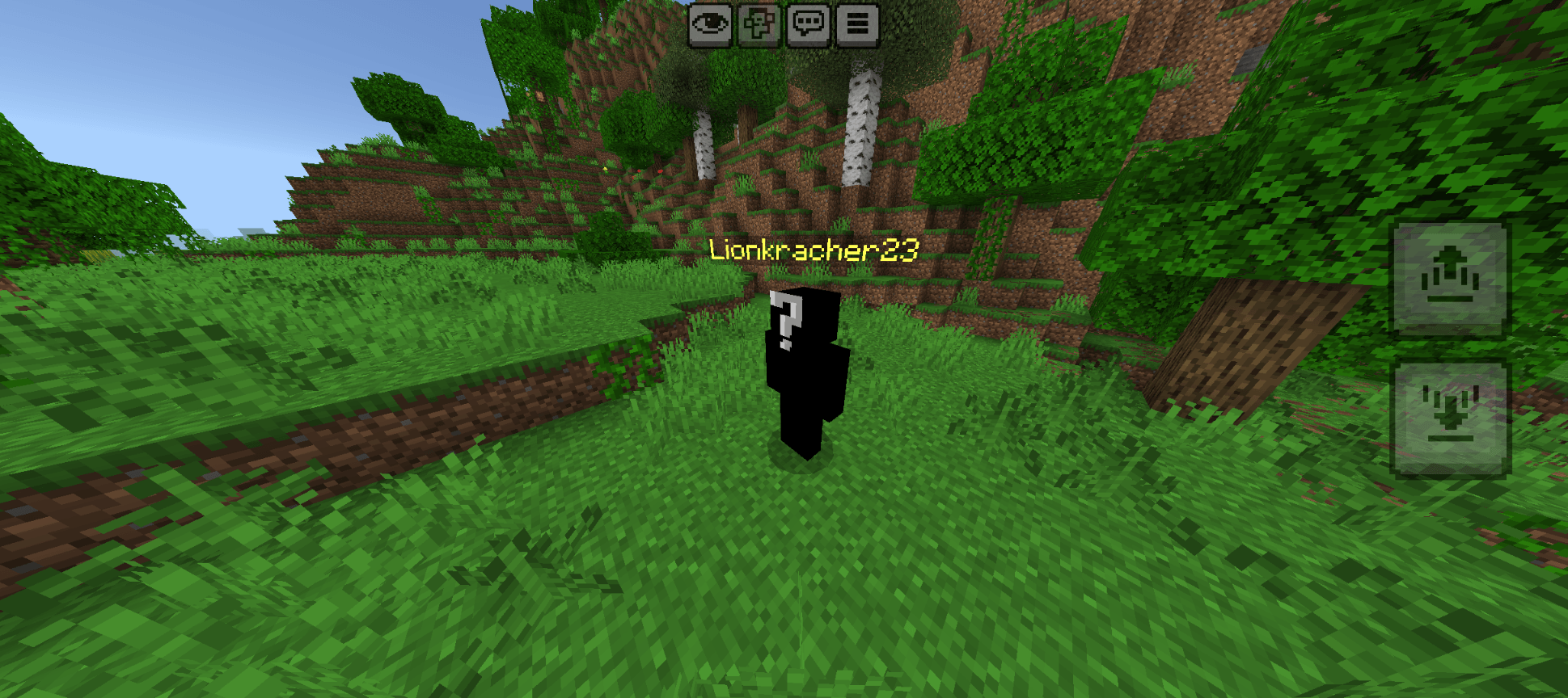 Lionkracher's Freecam — screenshot 4