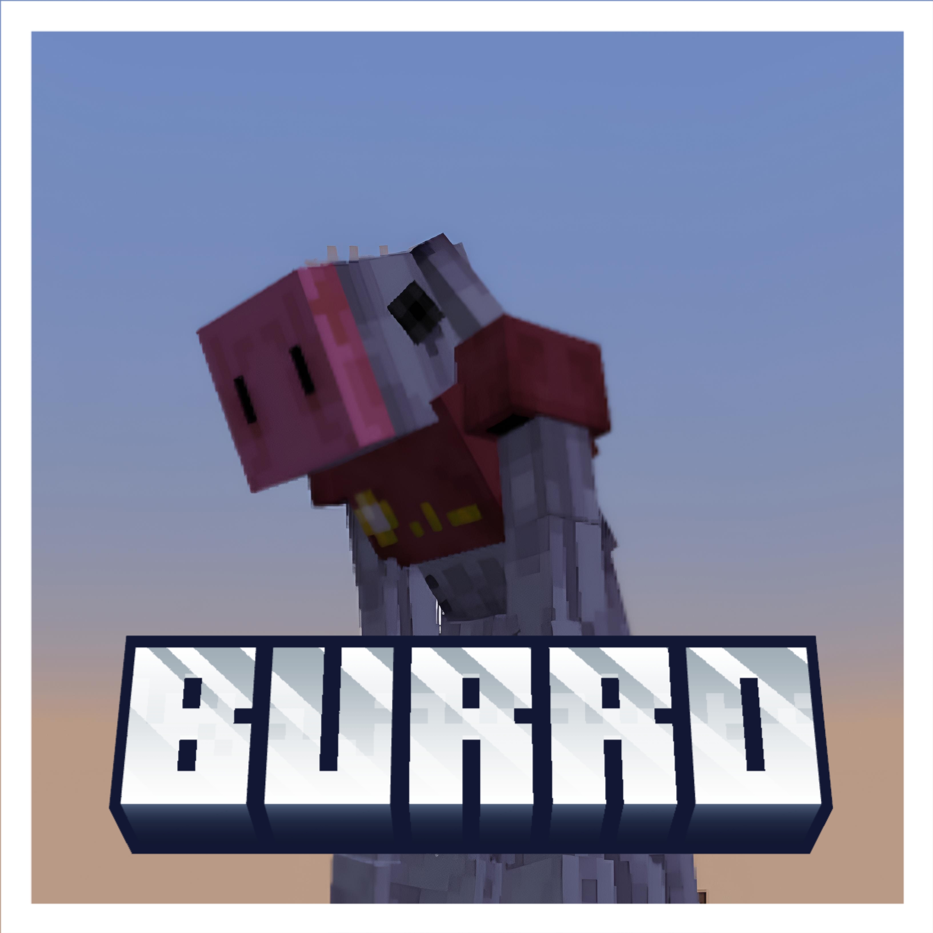 NEW DWELLER BURRO