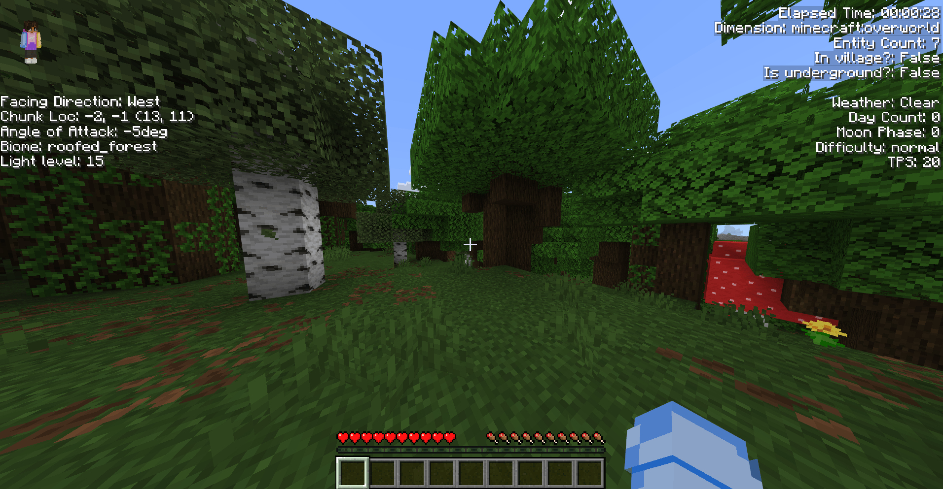 F3 Debug Screen — screenshot 1