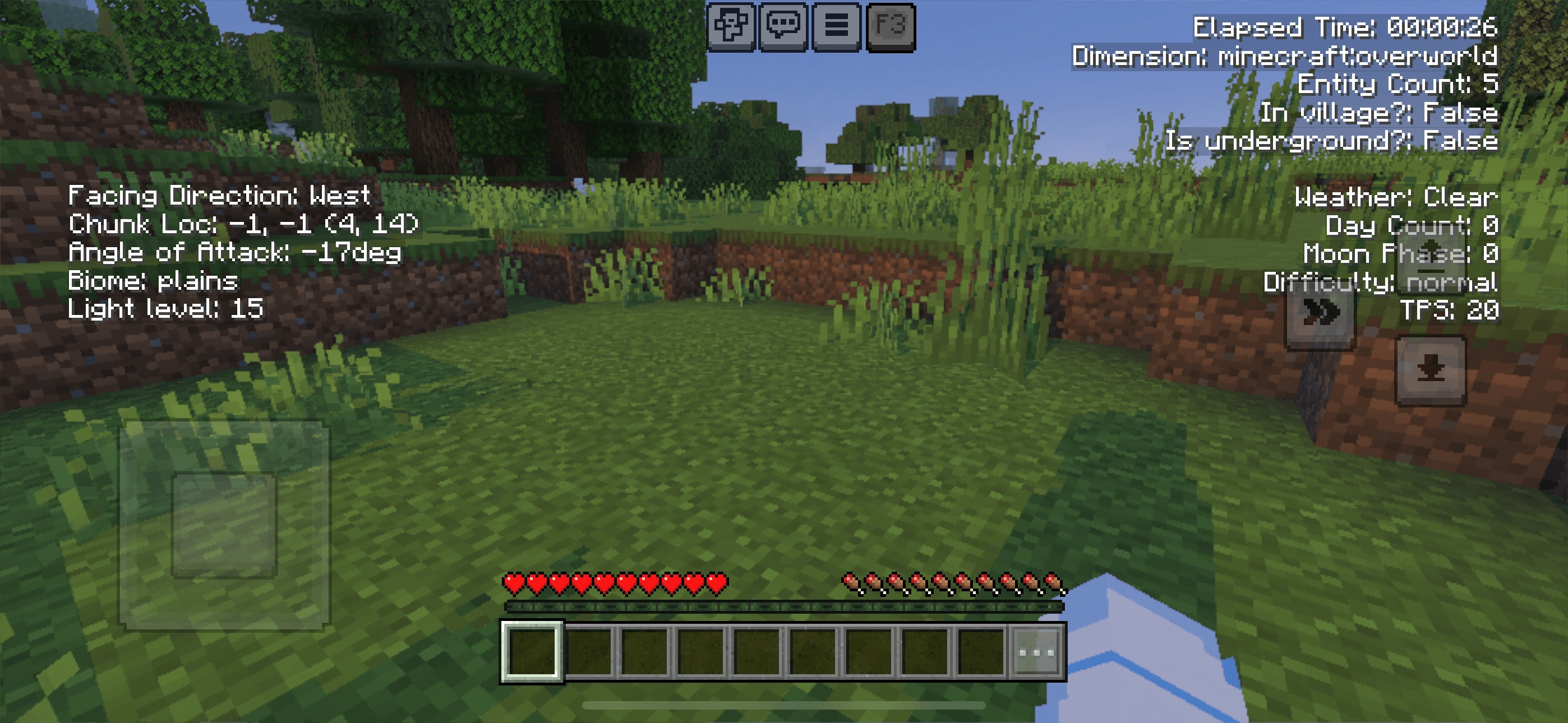 F3 Debug Screen — screenshot 2