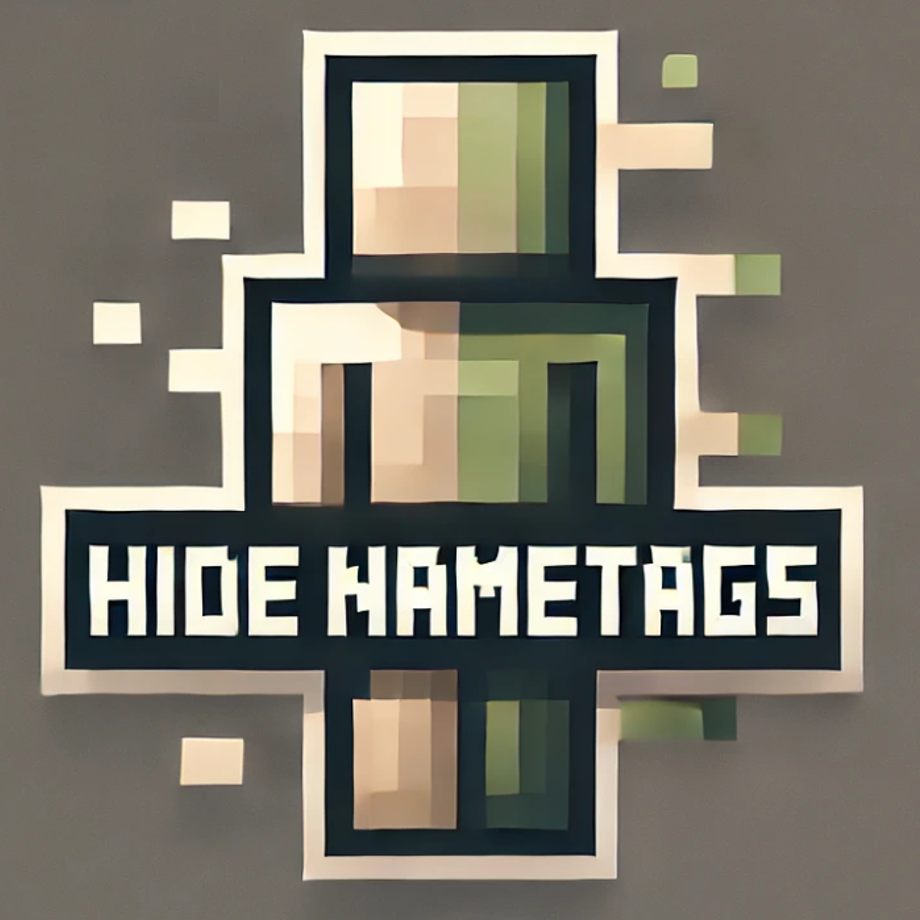Hide Nametags