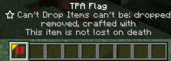 TPA Flag — screenshot 2