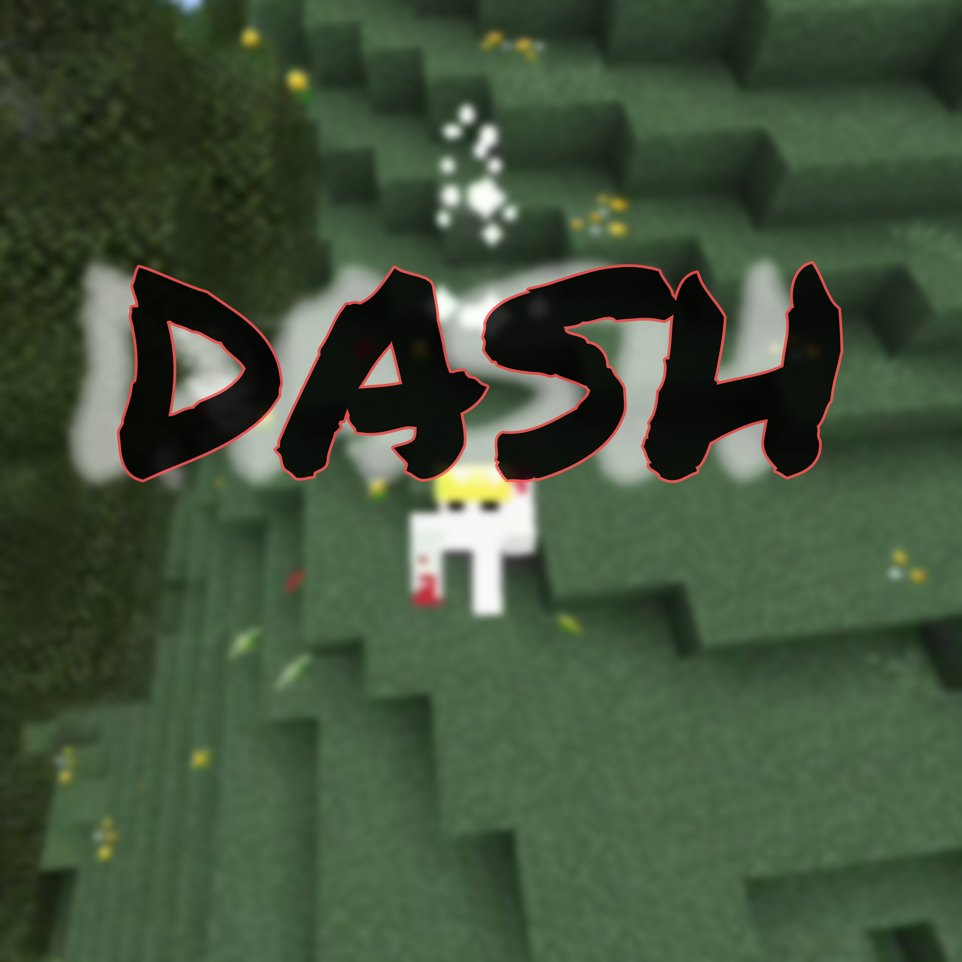 Dash