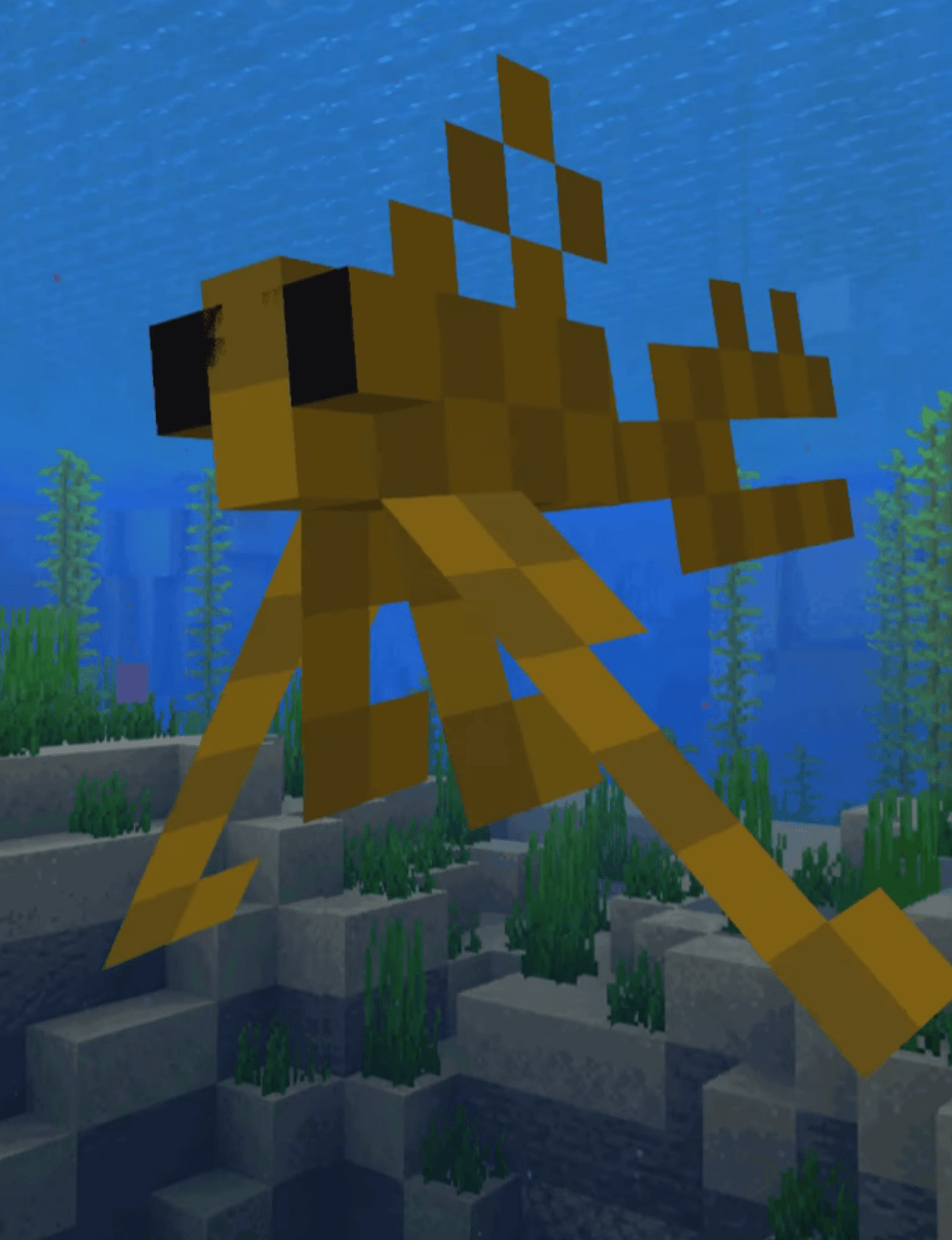 The More Animals Project  — screenshot 3