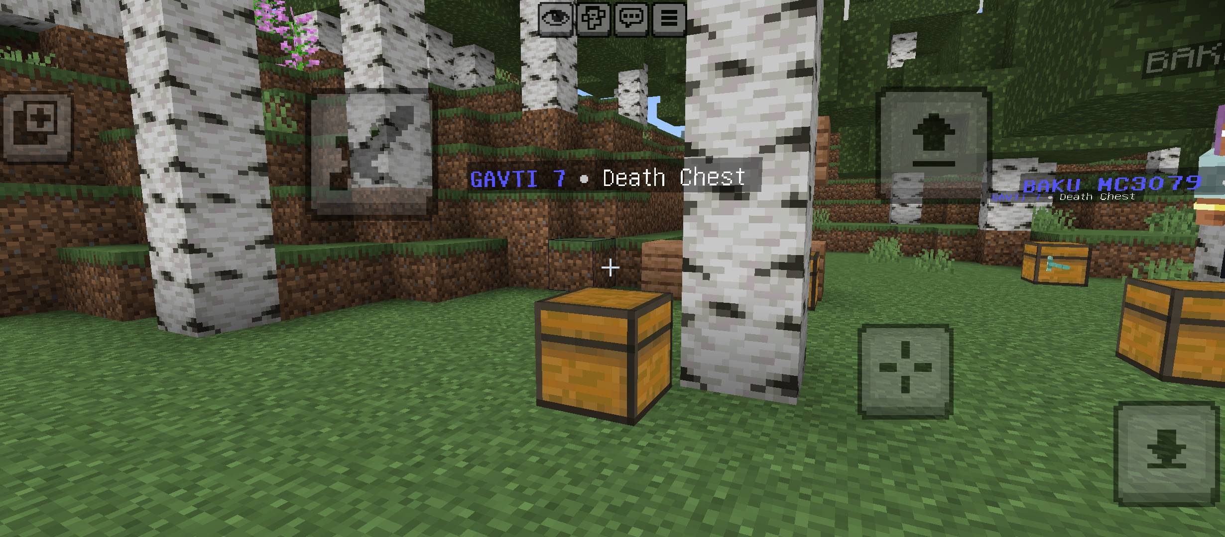 DeathChestRGB — screenshot 3