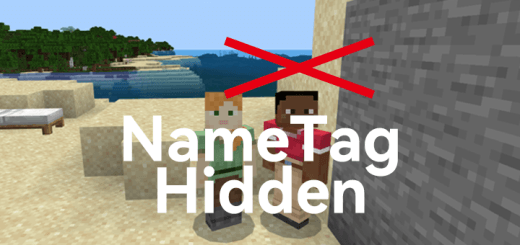 NameTagHidden — screenshot 2