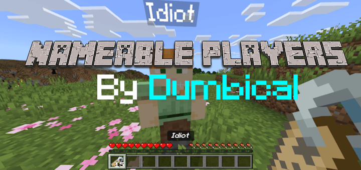 Nameable Players — screenshot 1