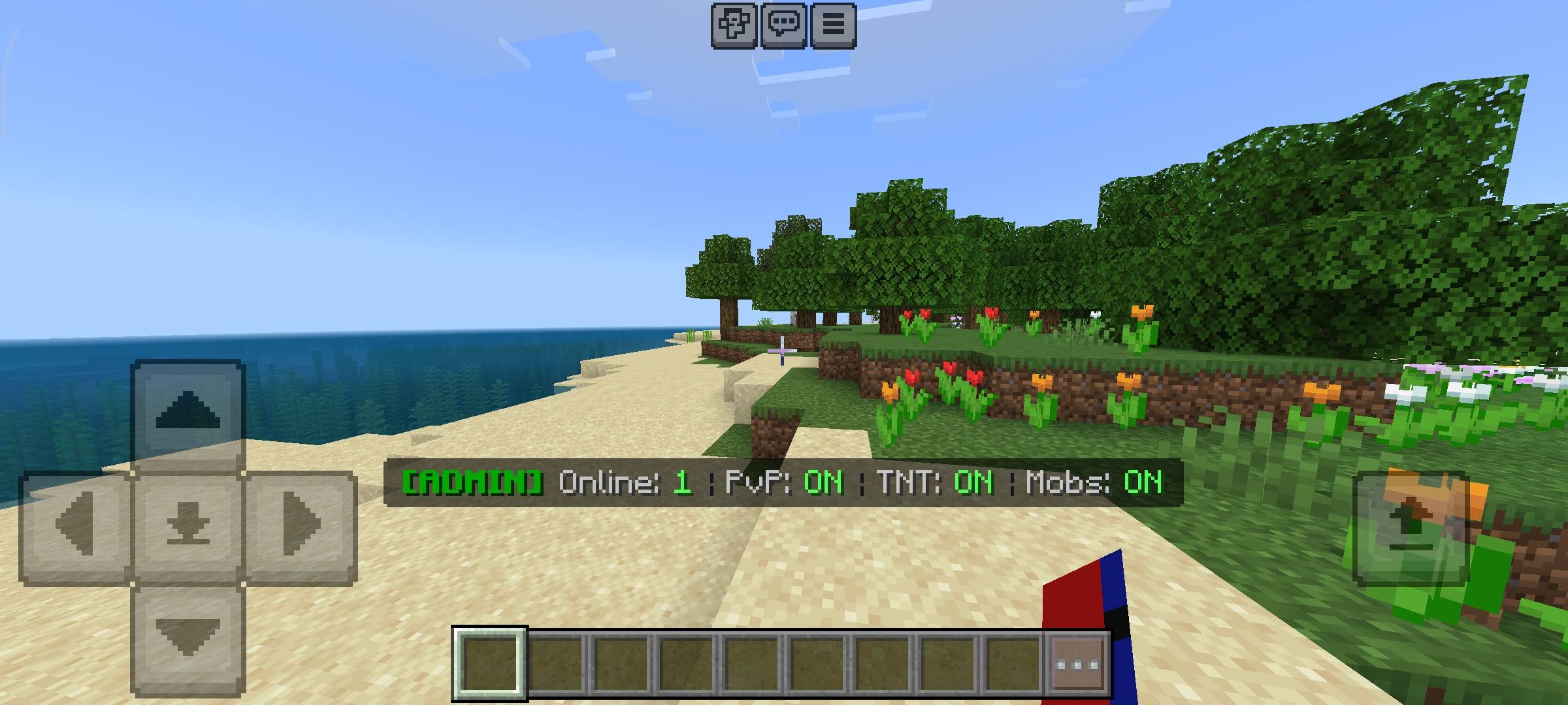 Server Manager — screenshot 2