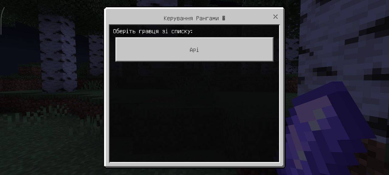 Simple Ranks | GUI Manager, Chat & Nametags — screenshot 6