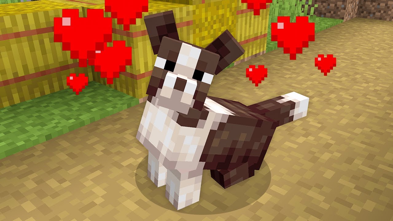 Dogs Expansion — screenshot 1