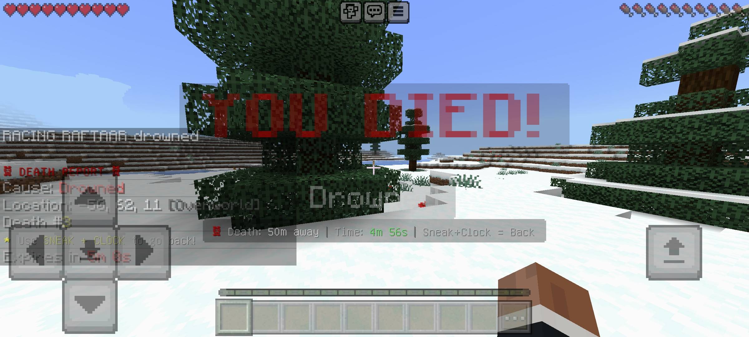 RR Back on Death - Advanced Teleport & Death History Log — screenshot 4