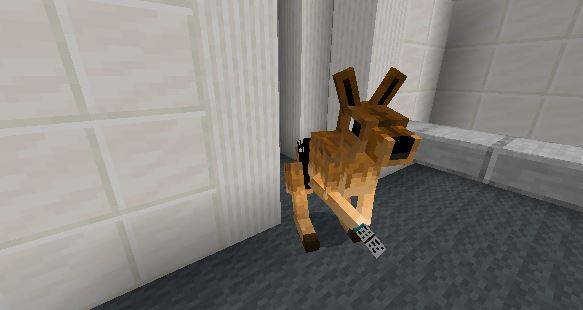 emotional support kangaroo — screenshot 1