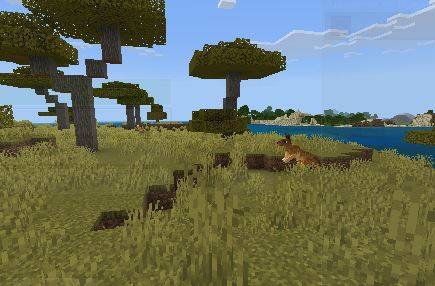 emotional support kangaroo — screenshot 2