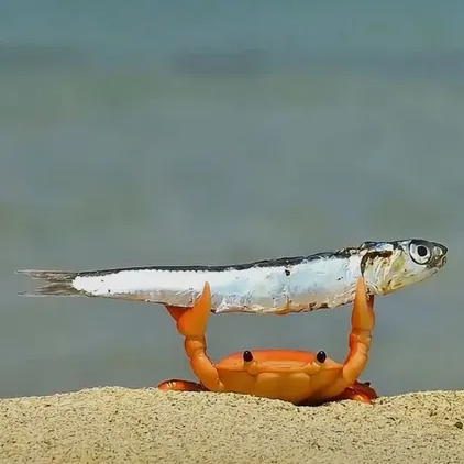 beach monsters