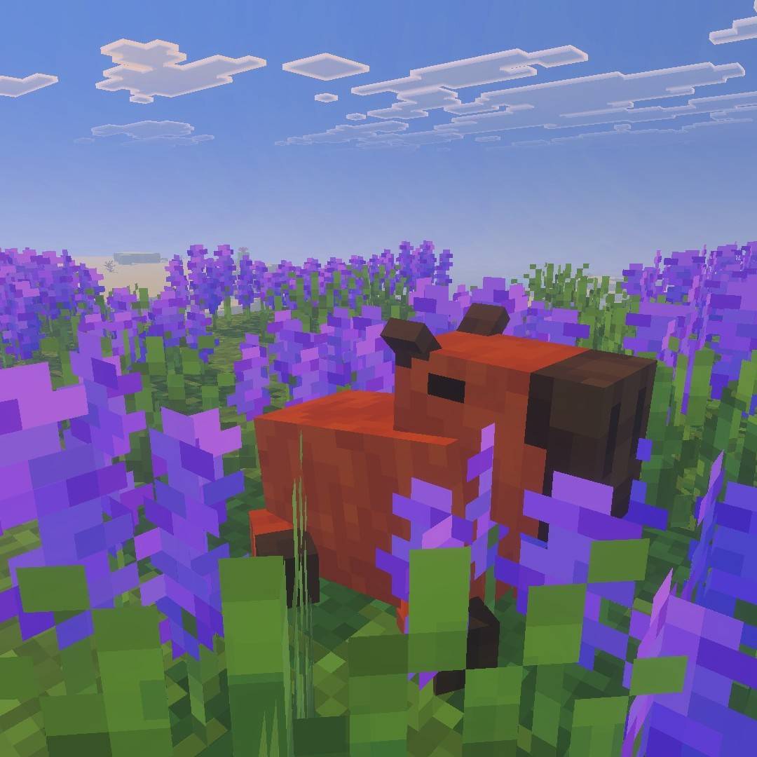 Vanilla Enhancing — screenshot 3