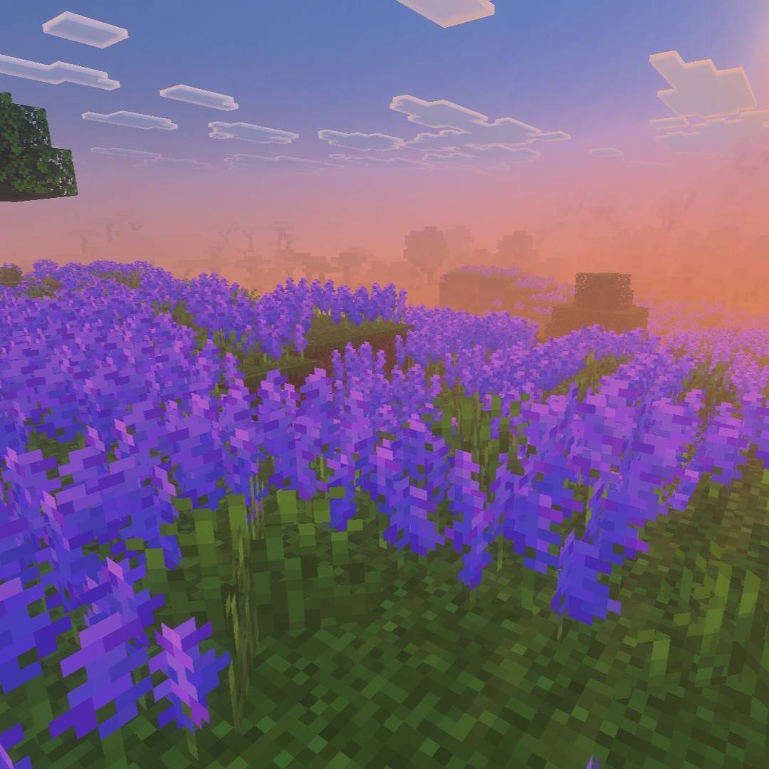 Vanilla Enhancing — screenshot 4
