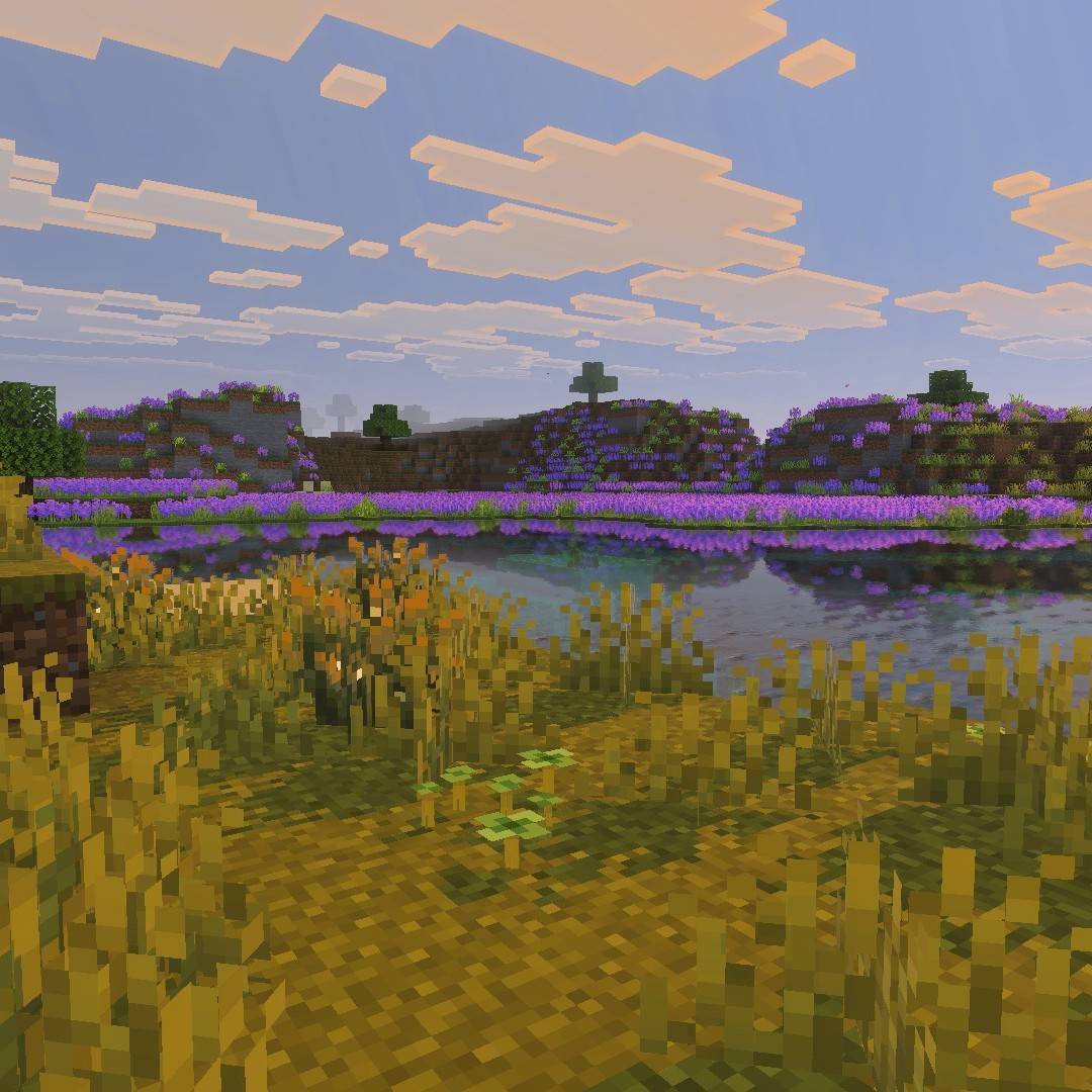 Vanilla Enhancing — screenshot 5