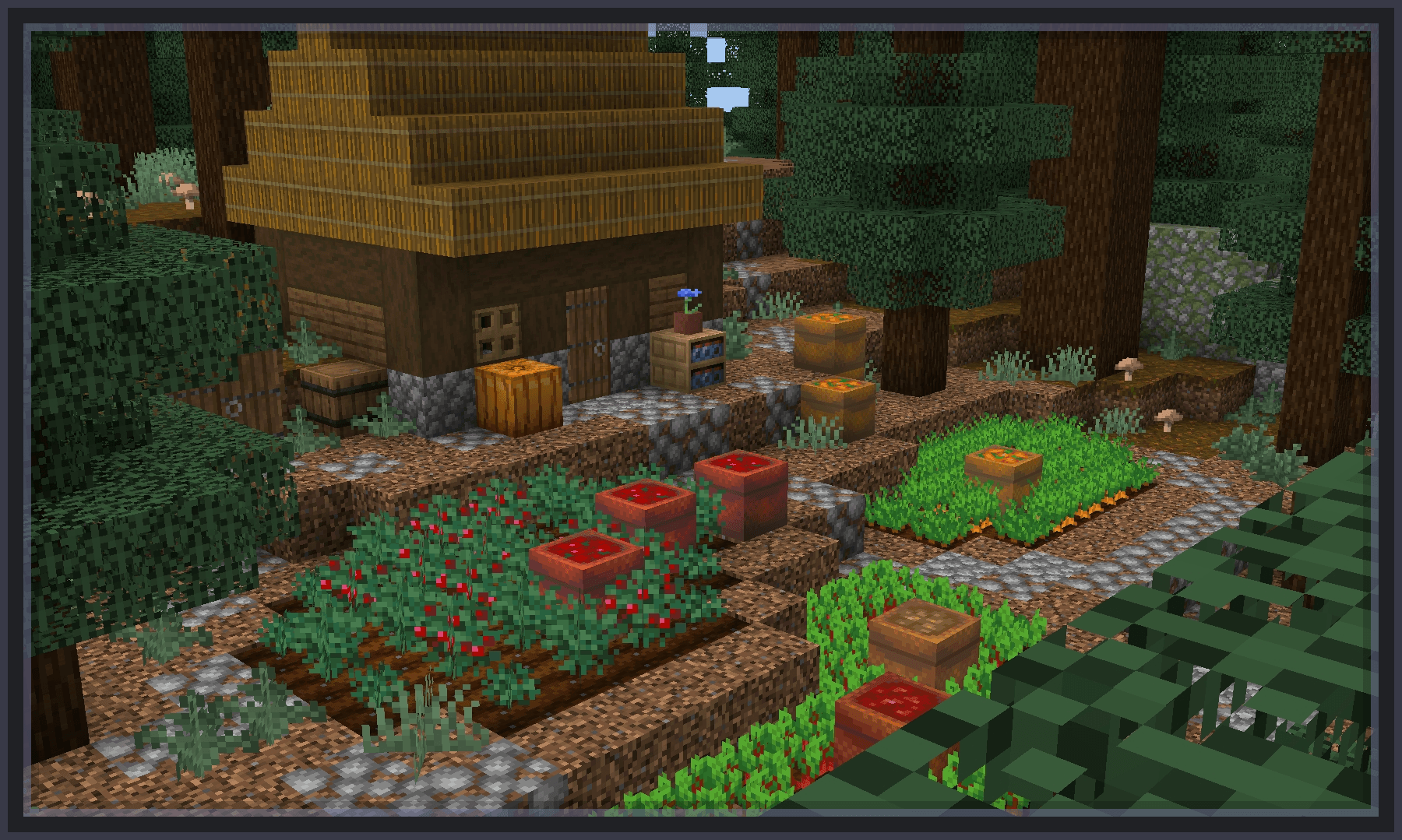 Ameliorate — screenshot 5