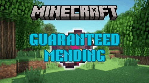 Guaranteed Mending — screenshot 1