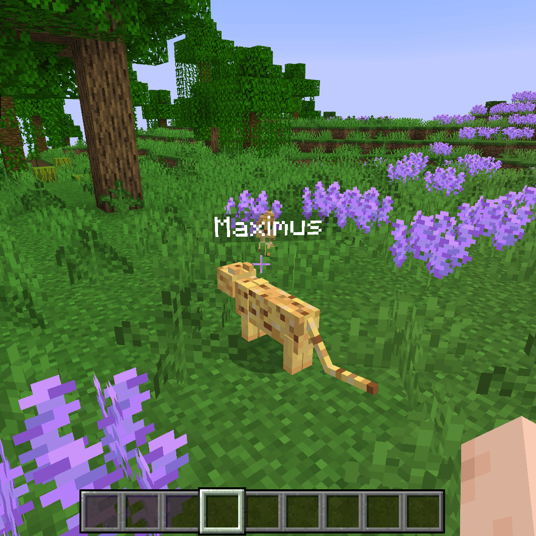 MobNames — screenshot 1