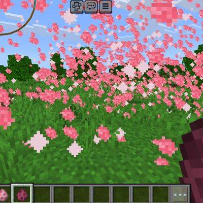 Cherry blossom STORM recall — screenshot 1