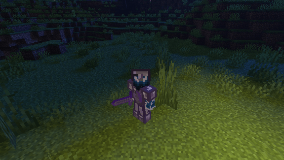 even MORE elytra! — screenshot 2