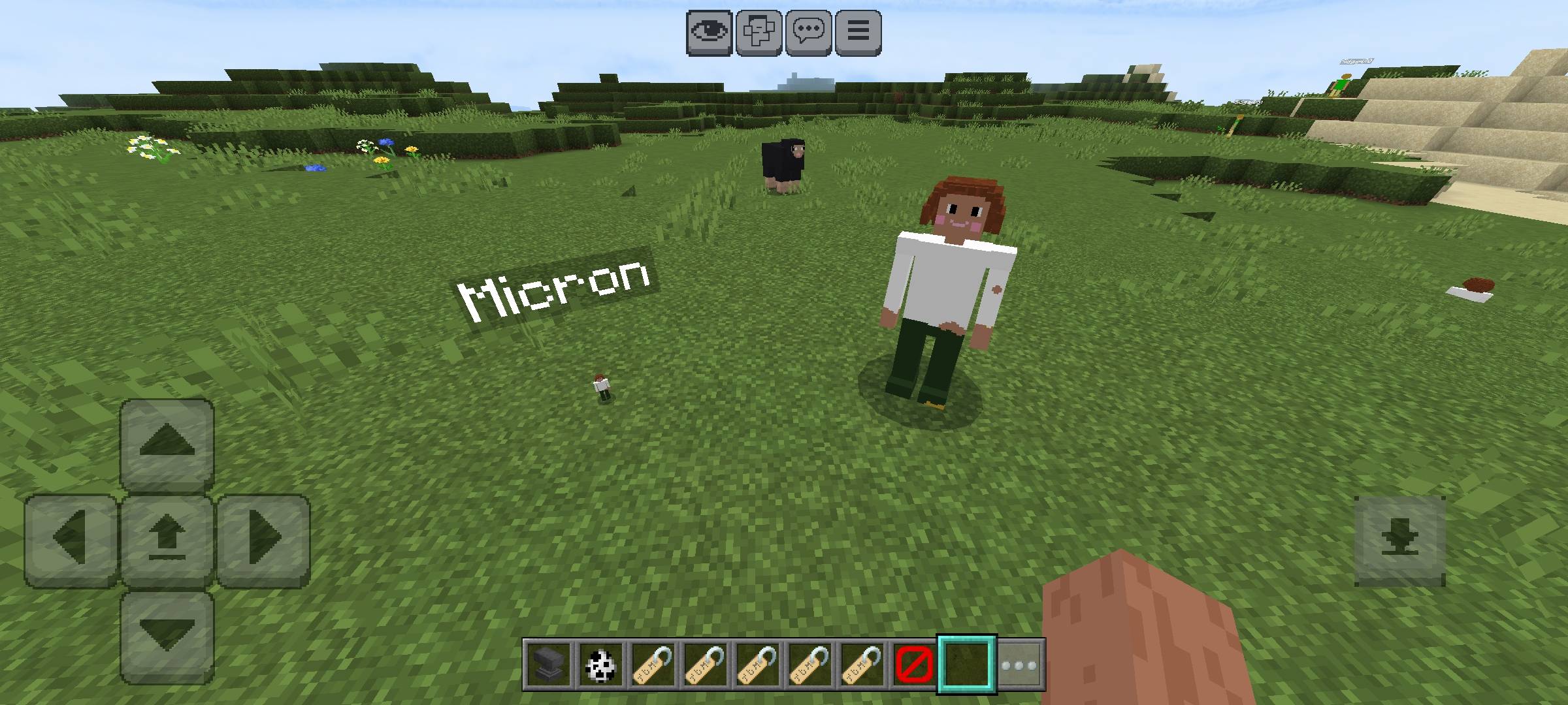 DMV - Brownies Pets (Smart Friendly mobs) — screenshot 4