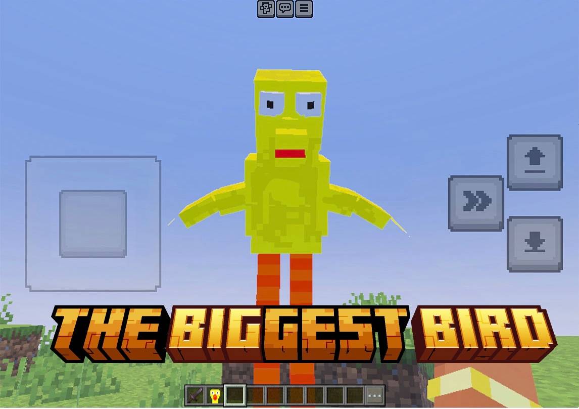 Big Bird — screenshot 1