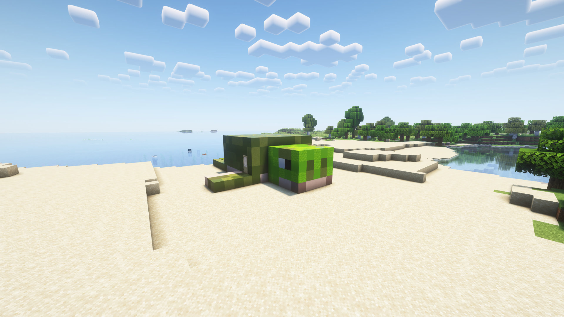Turtle House Bedrock Port — screenshot 1